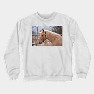 Palomino TB colt Crewneck Sweatshirt